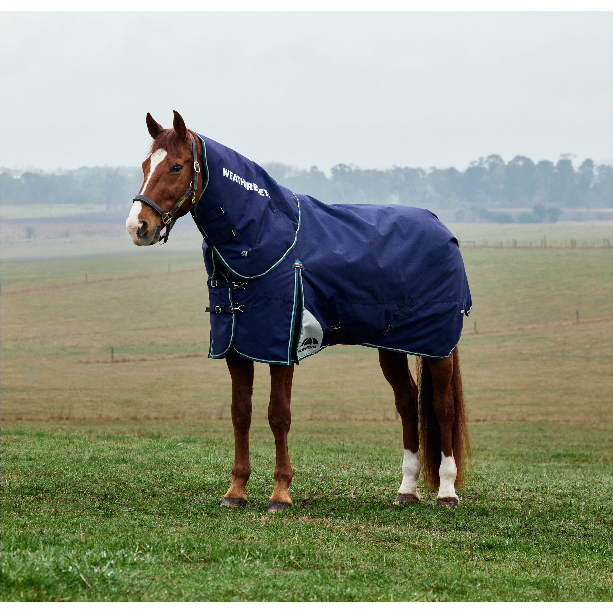 2025 Weatherbeeta Comfitec Plus Dynamic Turnout Detach - A - Neck 1029004 - Navy